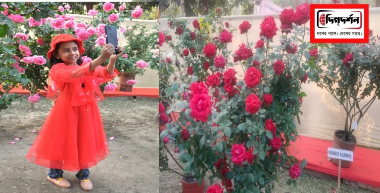 রবীন্দ্র সরোবর সাফারি পার্কে ৩ থেকে ৫ জানুয়ারি বাংলার গোলাপ প্রদর্শনী